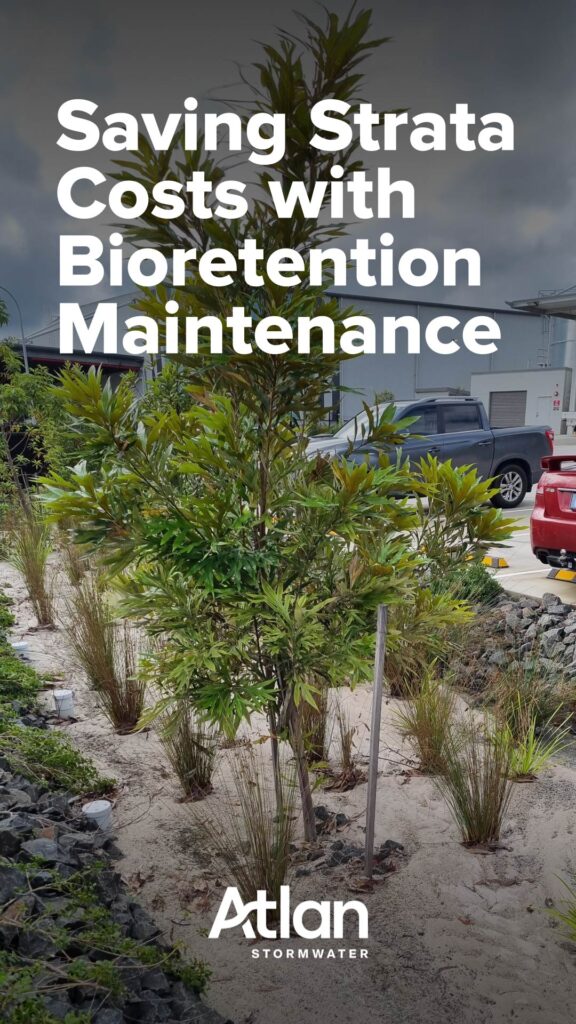 bioretention media