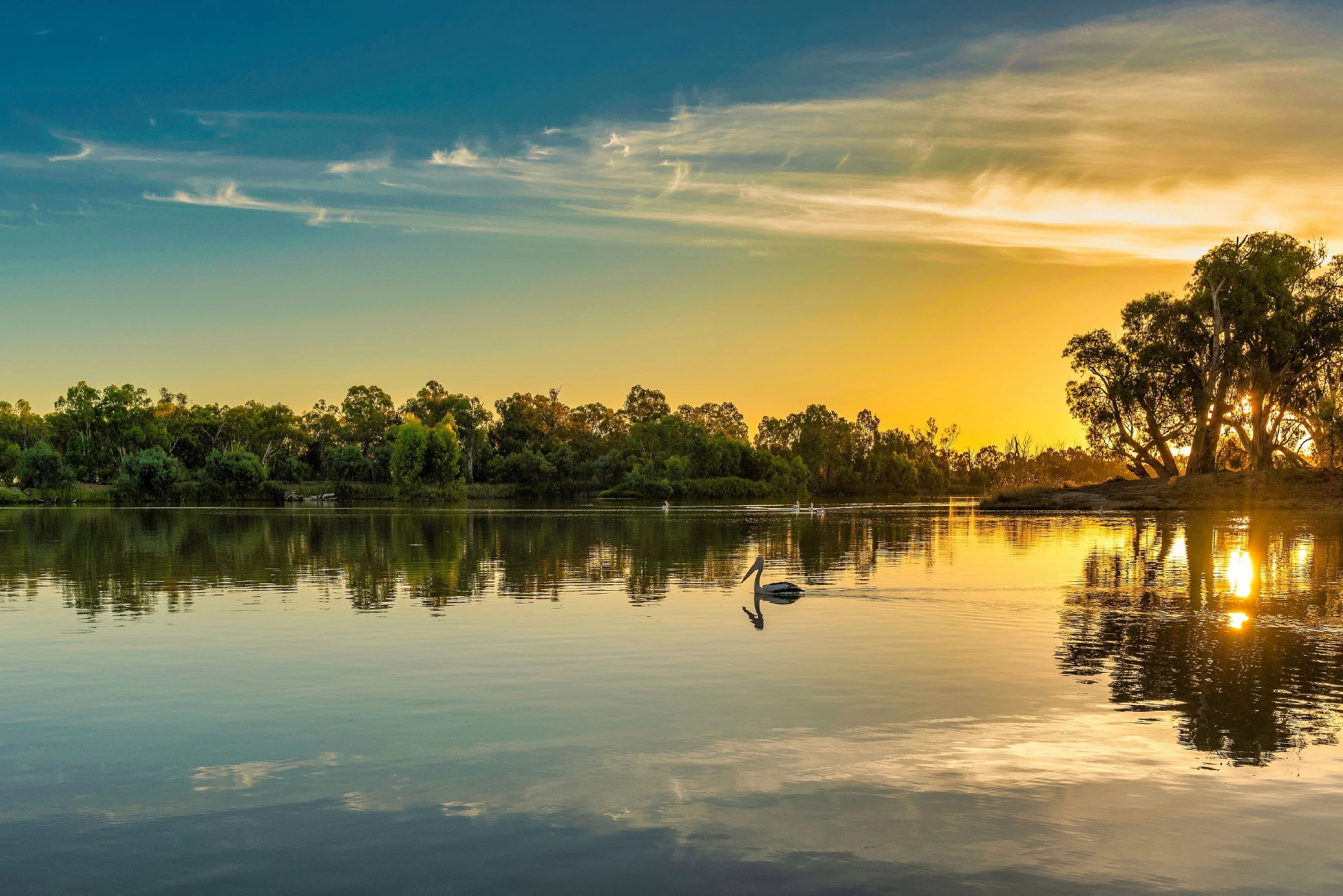 Murray River