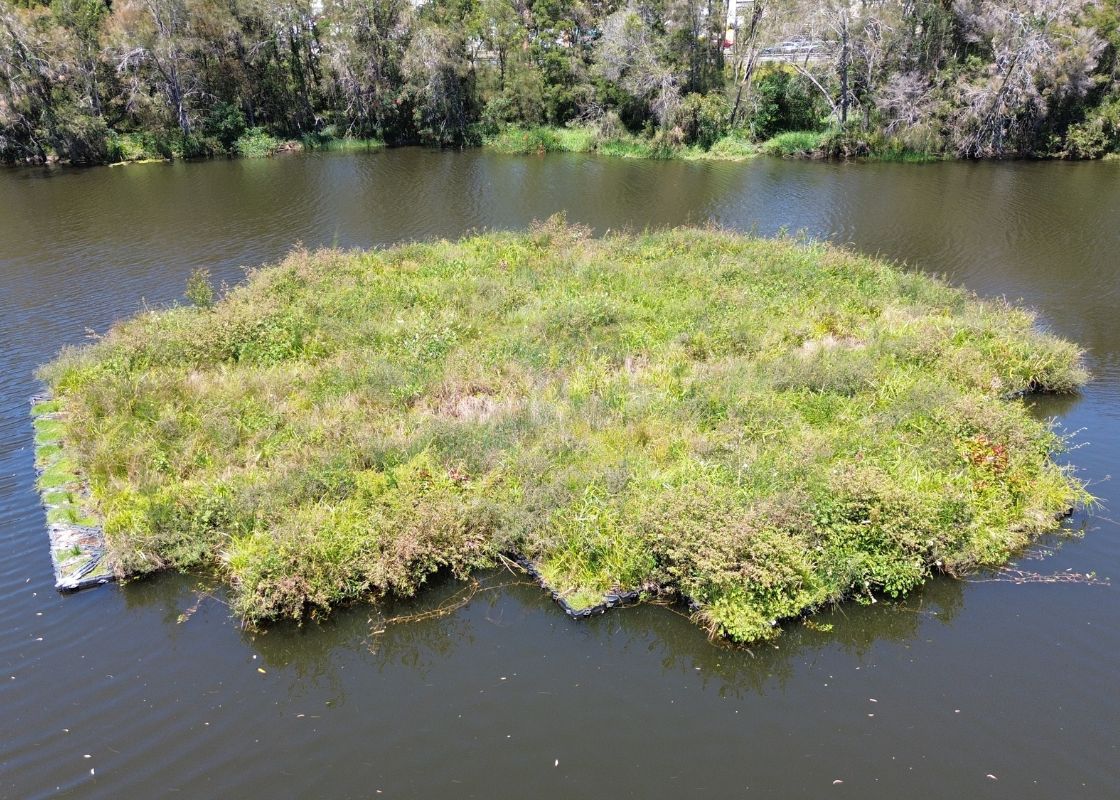 Floating Treatment Wetlands - 1