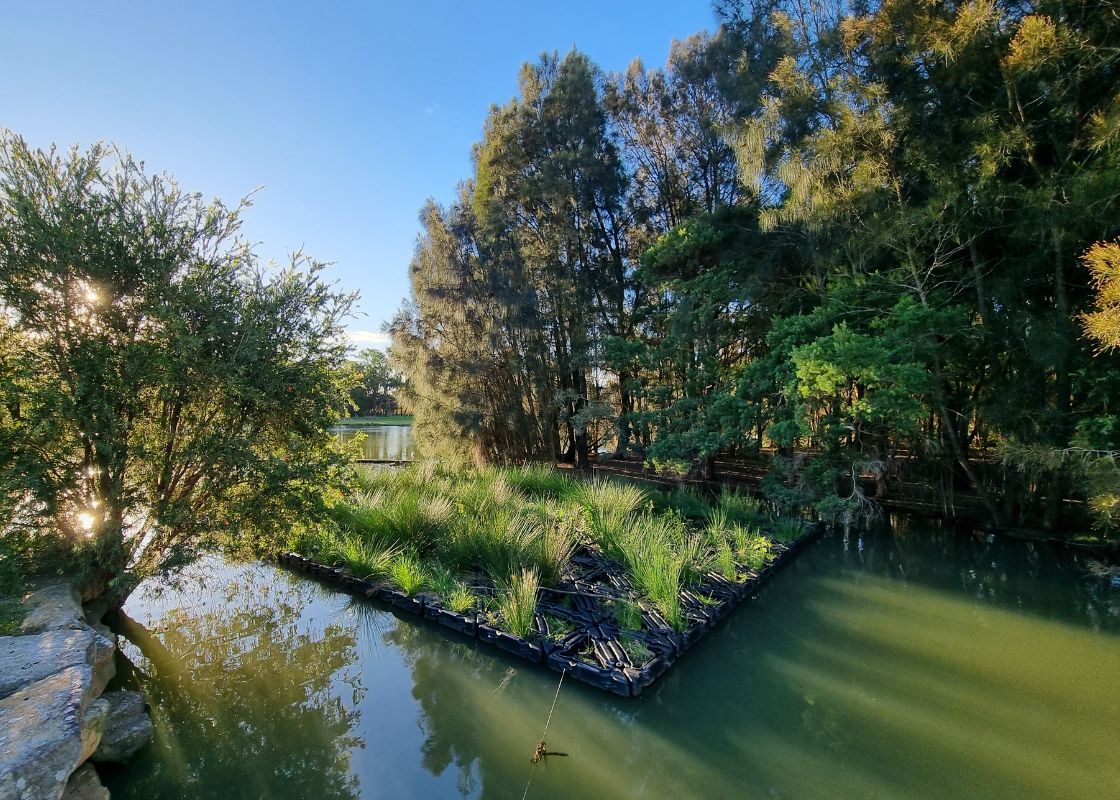 Floating Treatment Wetlands - 2