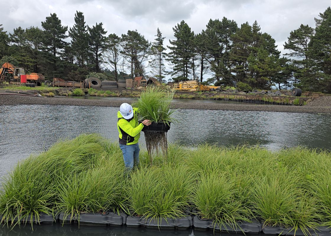 Floating Treatment Wetlands - 3