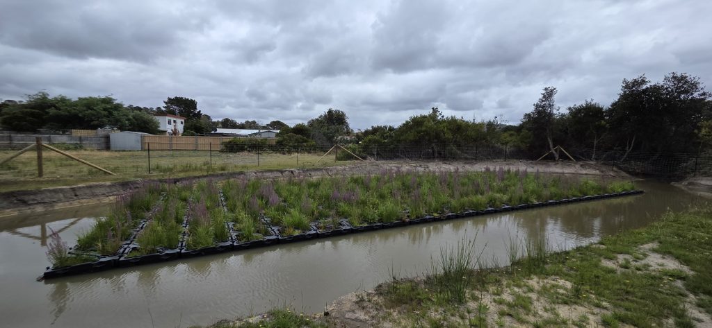Sorell Floating Treatment Wetlands 6