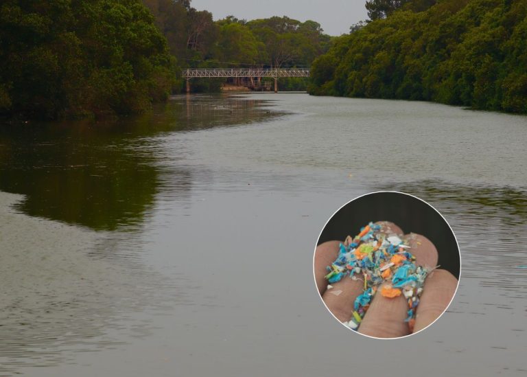 Cooks River named NSW's most contaminated river in Broadscale Microplastic Assessment