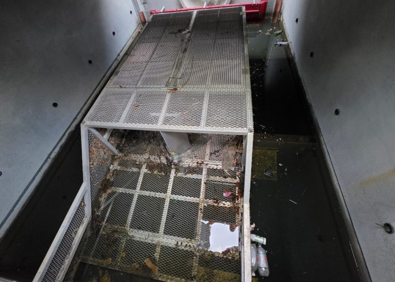 Hayman Park - BaffleBox Update 1
