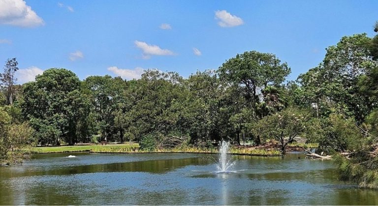 Case Study - Lake Alford Floating Treatment Wetlands 1