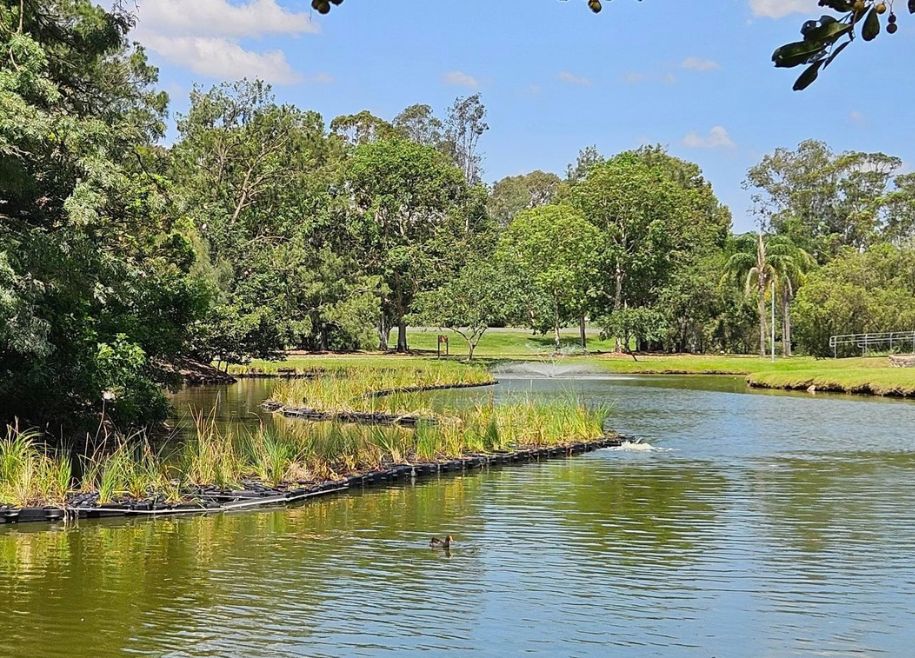 Floating Treatment Wetlands