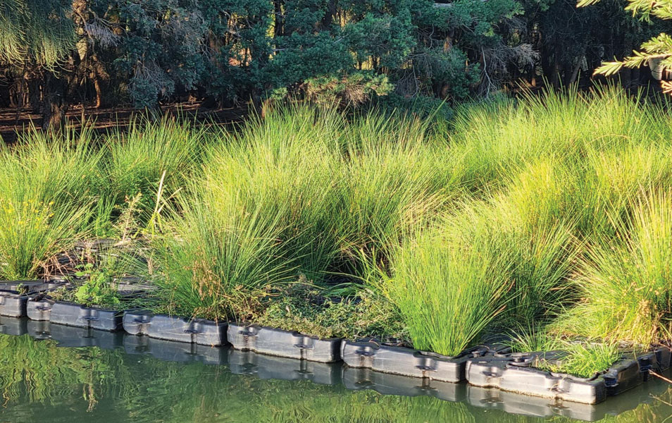 Floating Wetlands Construction | Atlan Stormwater