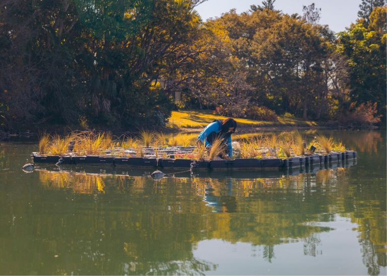 Floating Wetlands Miami - Project Photo 1