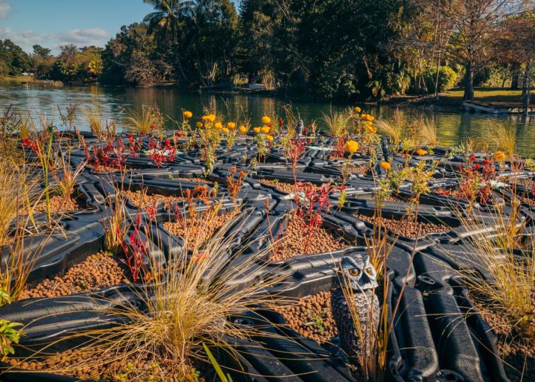 Floating Wetlands Miami - Project Photo 3