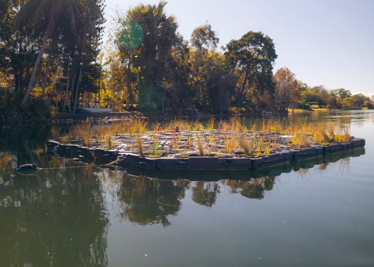 Floating Wetlands Miami - Project Photo 4