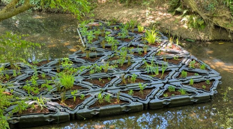 Case Study - Chamblee Creek Floating Wetlands 1