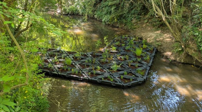 Case Study - Chamblee Creek Floating Wetlands 2