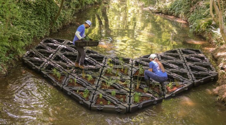 Case Study - Chamblee Creek Floating Wetlands 2