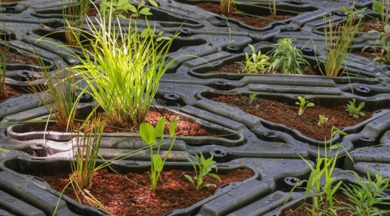 Case Study - Chamblee Creek Floating Wetlands 2